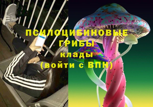 бошки Абдулино