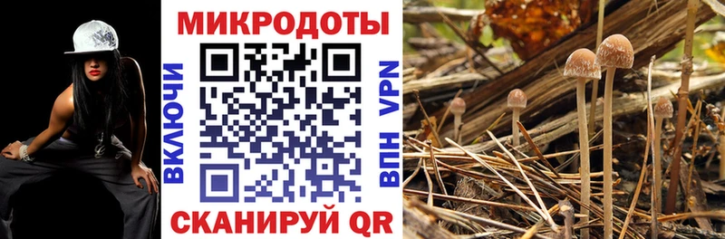 Псилоцибиновые грибы MAGIC MUSHROOMS Лысково